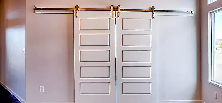 Glass Barn Door with Installation Hardware Kit Dyersburg