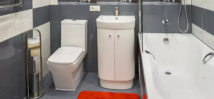 Hansgrohe Shaving Mirror Dyersburg